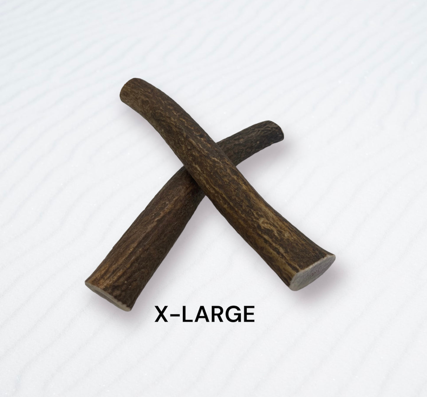 X-Large Elk Antler