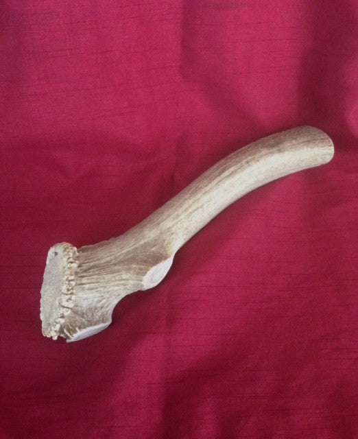 BACK ORDER...King Elk with Button  Special order, pls contact