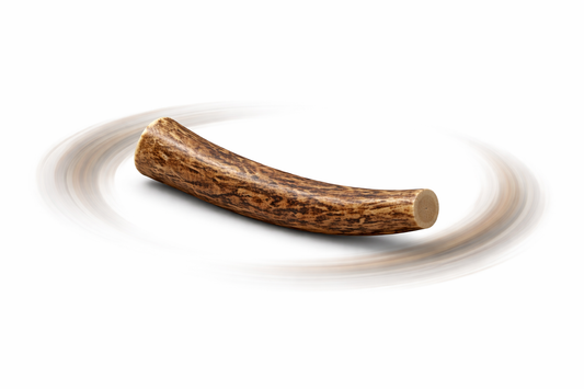 Large Elk Antler
