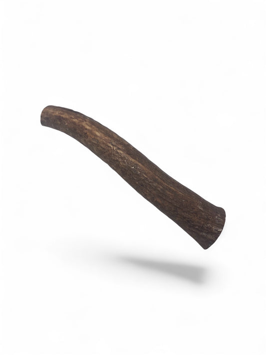 X-Large Elk Antler