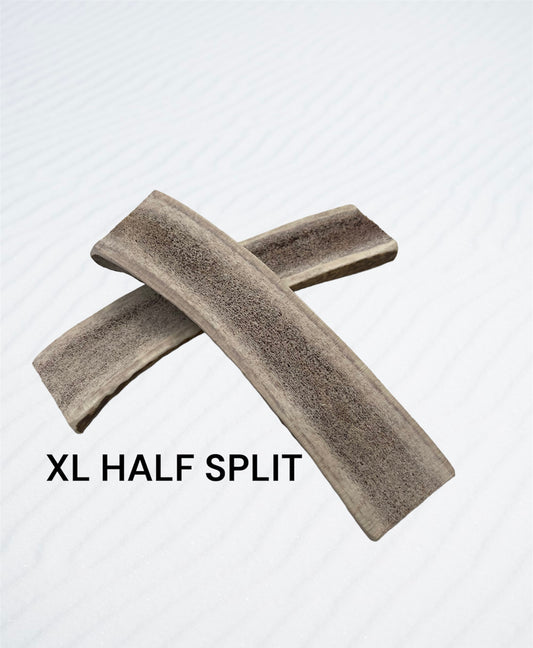 Split XL Half Elk Antler